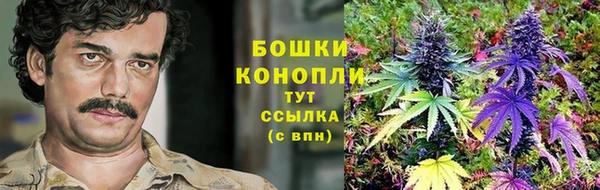 спиды Алзамай