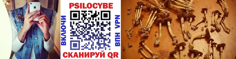 закладка  MEGA как зайти  Галлюциногенные грибы Psilocybine cubensis  Нурлат 