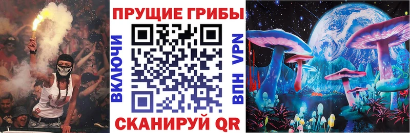 Псилоцибиновые грибы GOLDEN TEACHER Нурлат